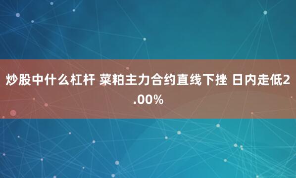 炒股中什么杠杆 菜粕主力合约直线下挫 日内走低2.00%