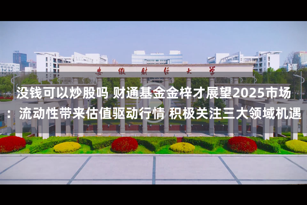 没钱可以炒股吗 财通基金金梓才展望2025市场：流动性带来估值驱动行情 积极关注三大领域机遇