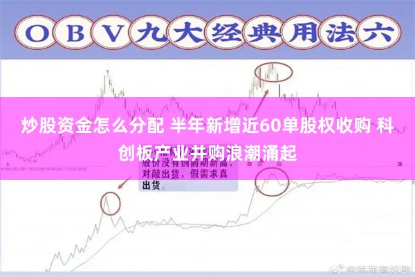 炒股资金怎么分配 半年新增近60单股权收购 科创板产业并购浪潮涌起