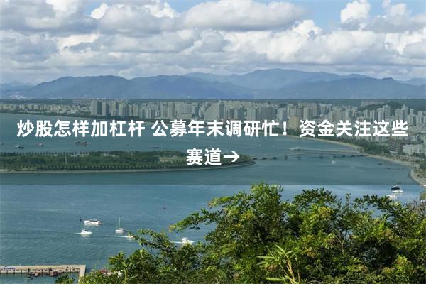 炒股怎样加杠杆 公募年末调研忙！资金关注这些赛道→