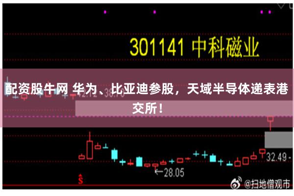 配资股牛网 华为、比亚迪参股，天域半导体递表港交所！