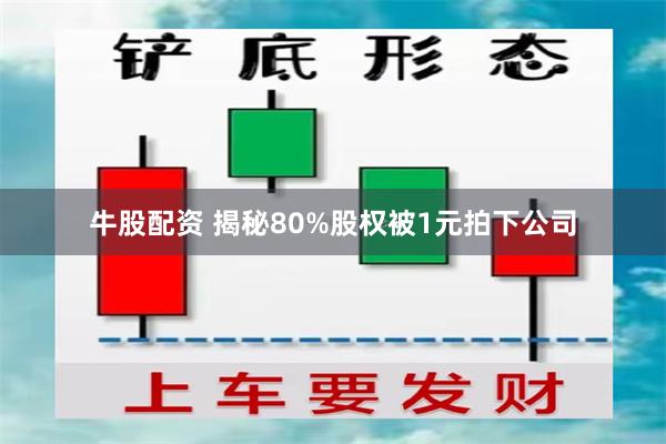 牛股配资 揭秘80%股权被1元拍下公司