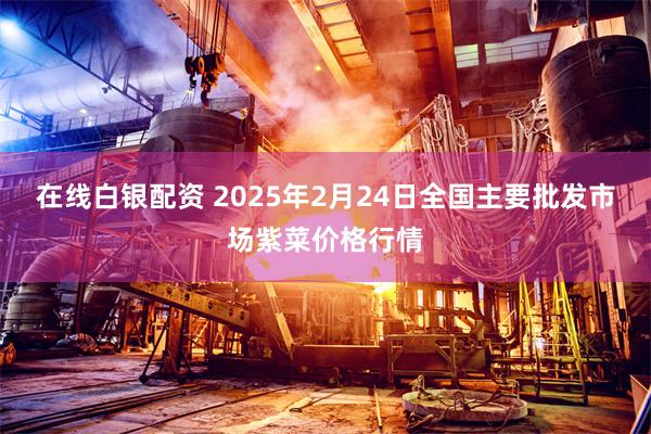 在线白银配资 2025年2月24日全国主要批发市场紫菜价格行情