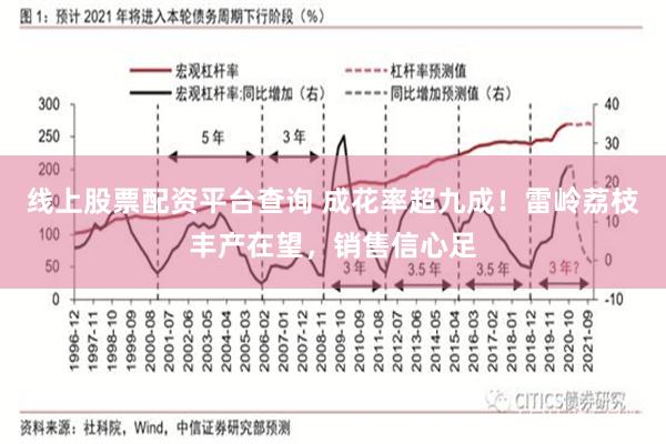 线上股票配资平台查询 成花率超九成！雷岭荔枝丰产在望，销售信心足