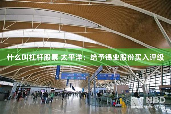 什么叫杠杆股票 太平洋：给予锡业股份买入评级