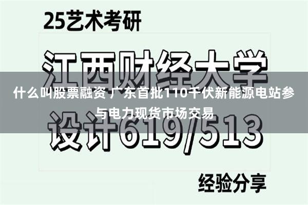 什么叫股票融资 广东首批110千伏新能源电站参与电力现货市场交易