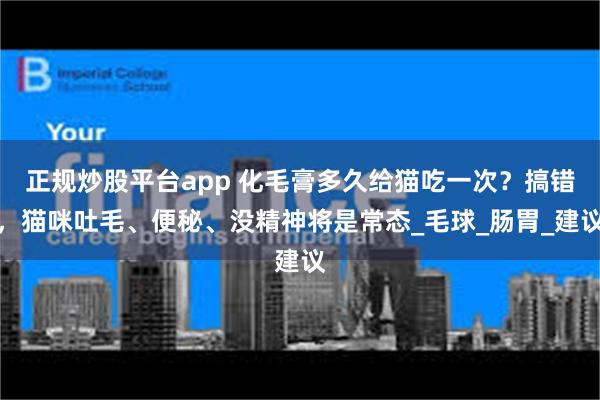 正规炒股平台app 化毛膏多久给猫吃一次？搞错，猫咪吐毛、便秘、没精神将是常态_毛球_肠胃_建议